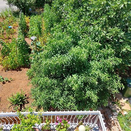 Apartmani Toni Vodice Zewnętrze zdjęcie