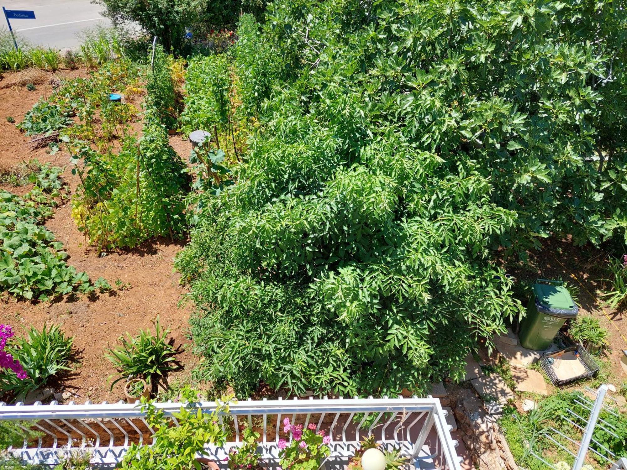 Apartmani Toni Vodice Zewnętrze zdjęcie